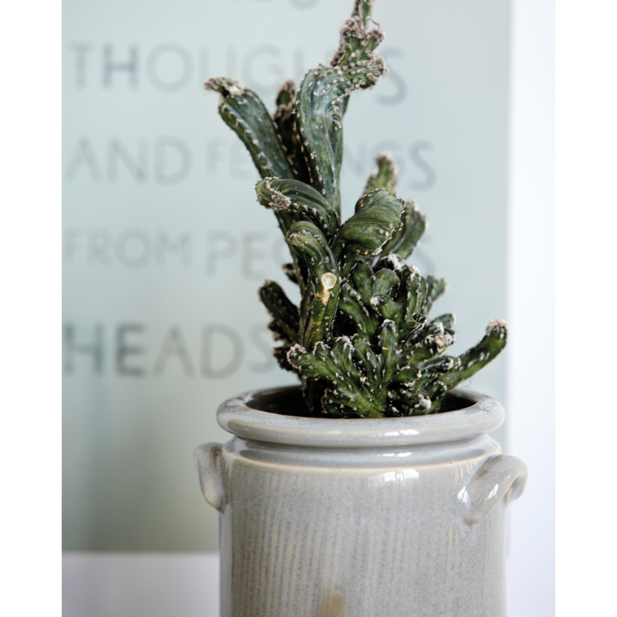 Urtepotte, HDPottery XL, Sand