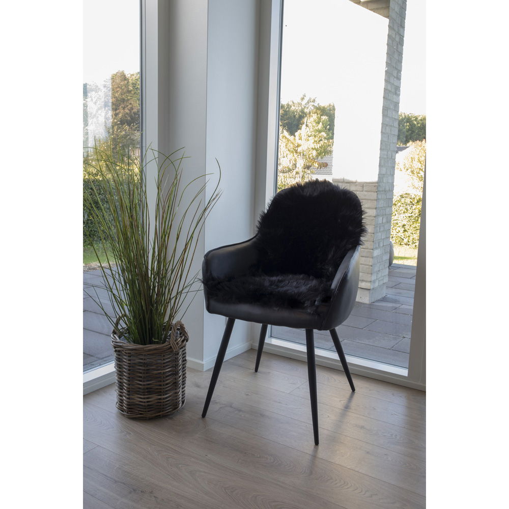 50x85 cm
