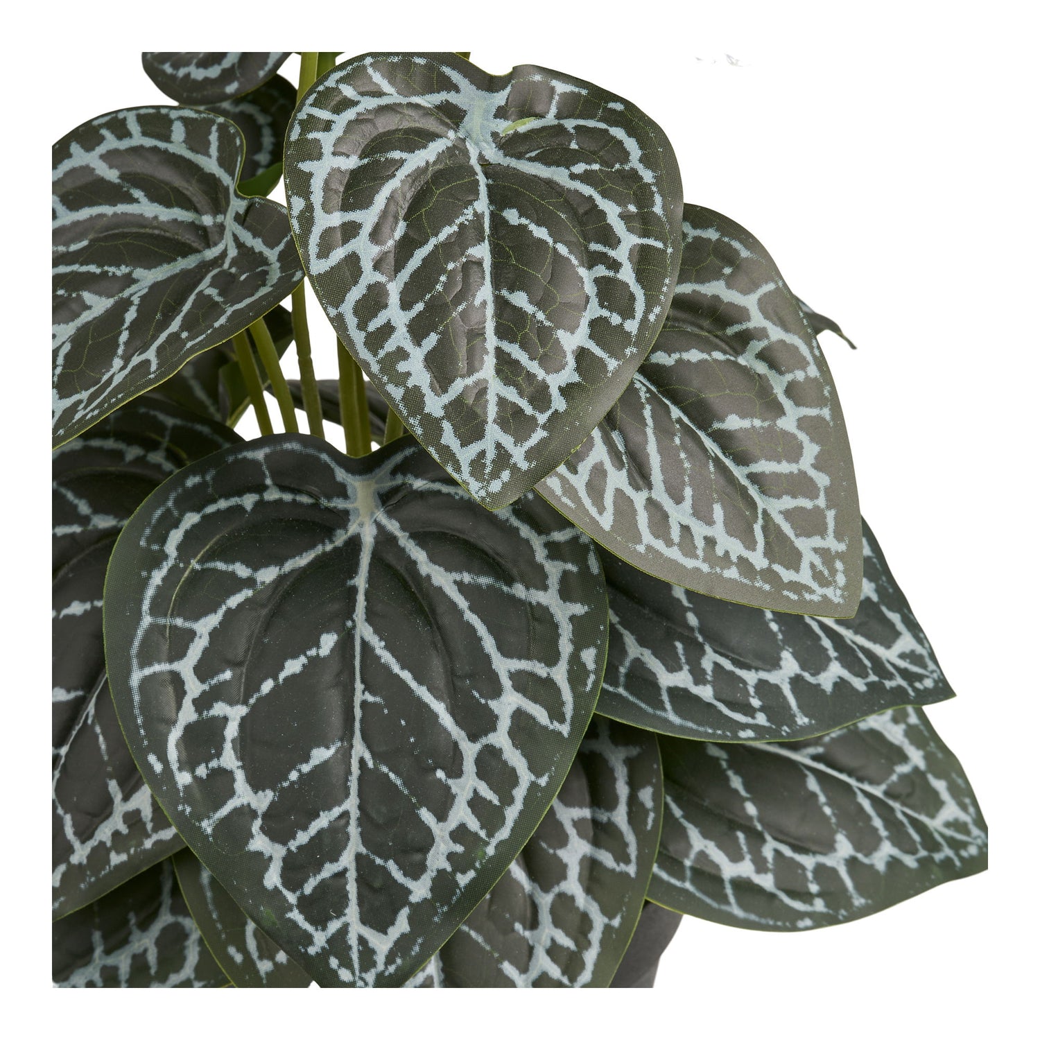 Kunstig Plante - Plante, grøn H:33 cm