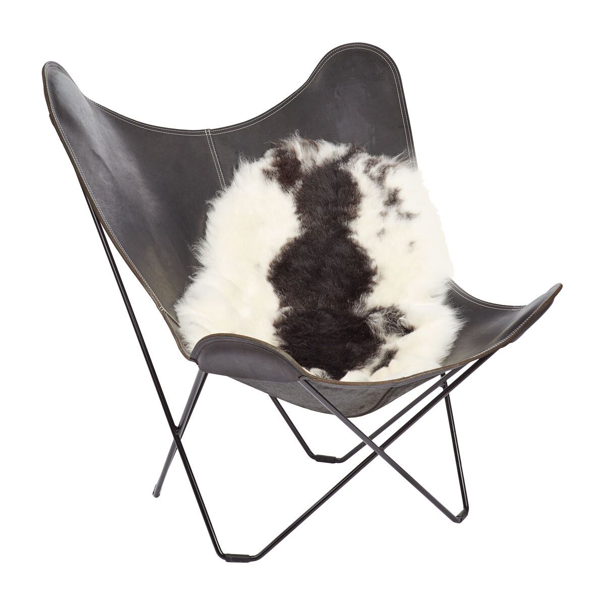 Lammeskind | Korthåret | Island | 100-120x60 cm