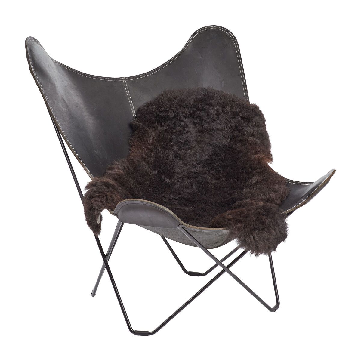 Lammeskind | Korthåret | Island | 100-120x60 cm