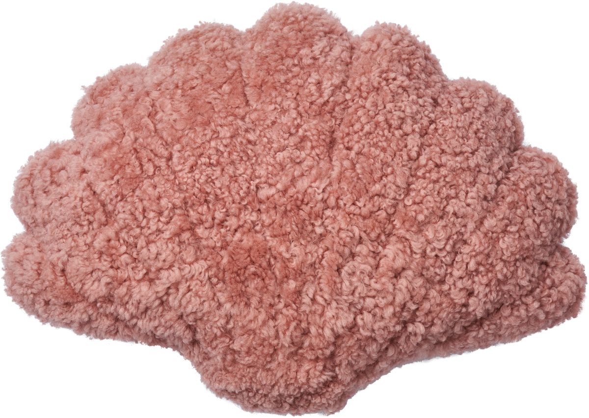 Shell pude | Korthåret | New Zealand