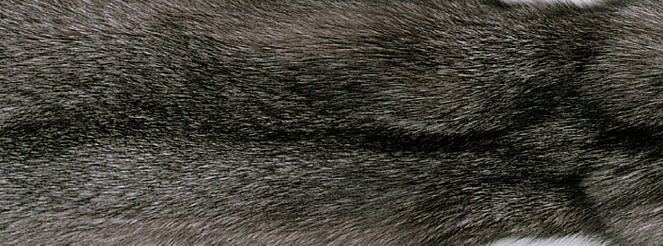 Tæppe af Ræv | Bagside af Kashmire | 70x230 cm