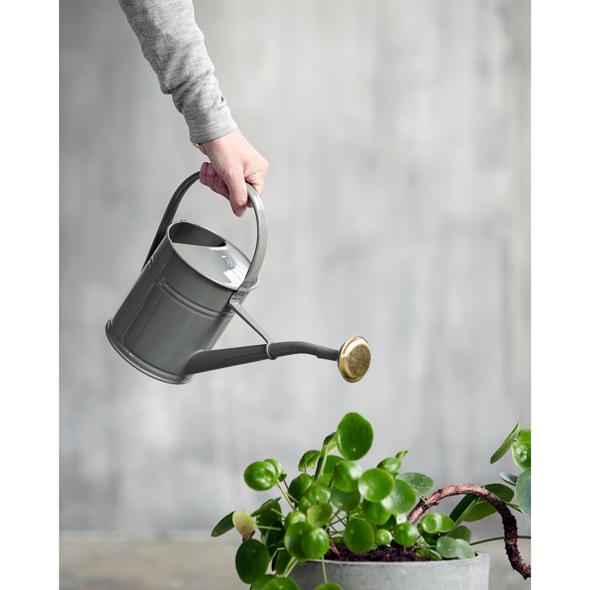 House Doctor - Vandkande, HDWan, Grå