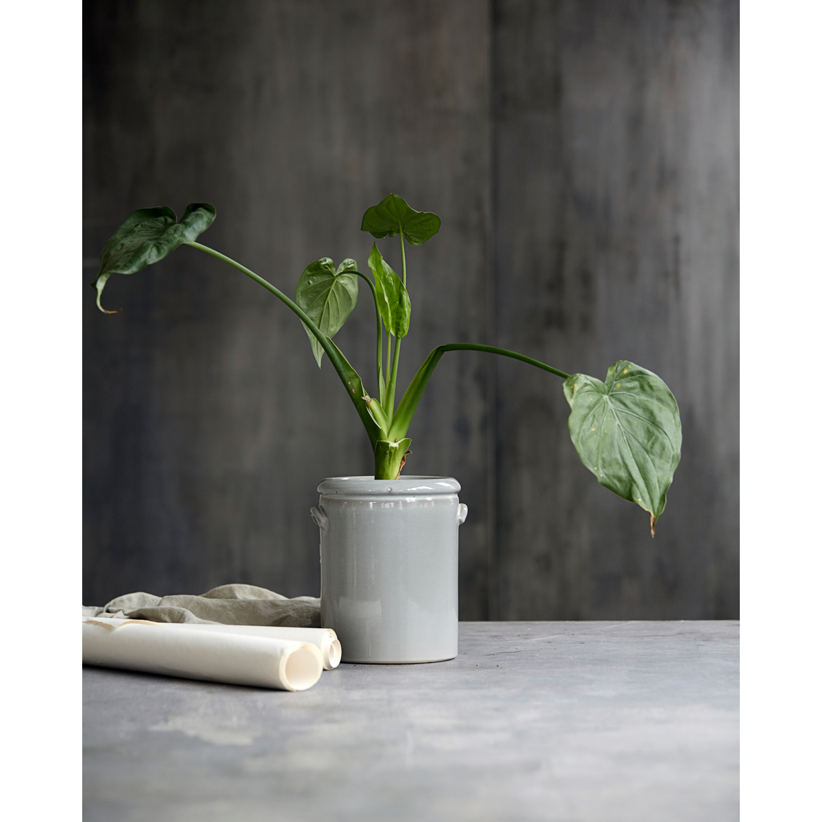 Urtepotte, HDPottery M, Lysegrå