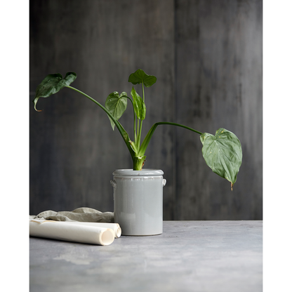 Urtepotte, HDPottery M, Lysegrå
