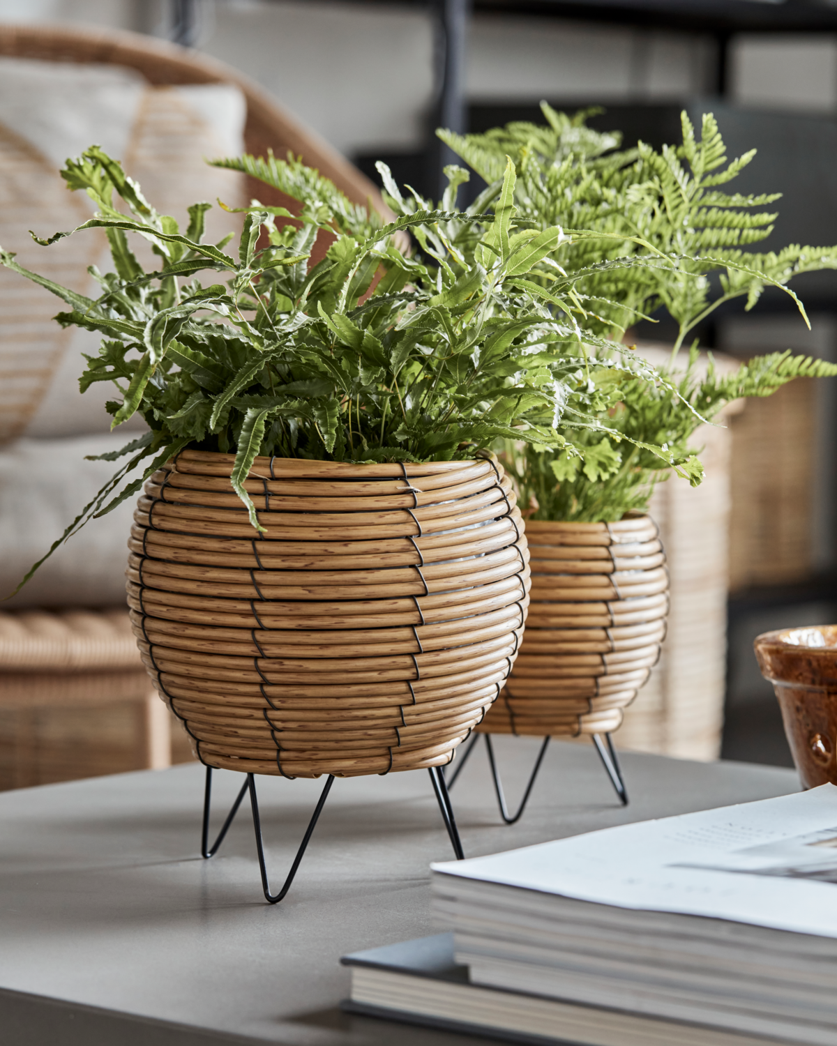 Urtepotte, HDGleen, Natural