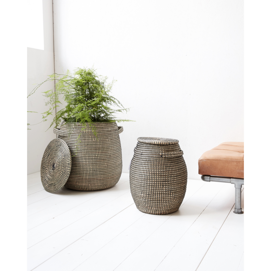 House Doctor - Kurve, HDEffect, Sort;Natural