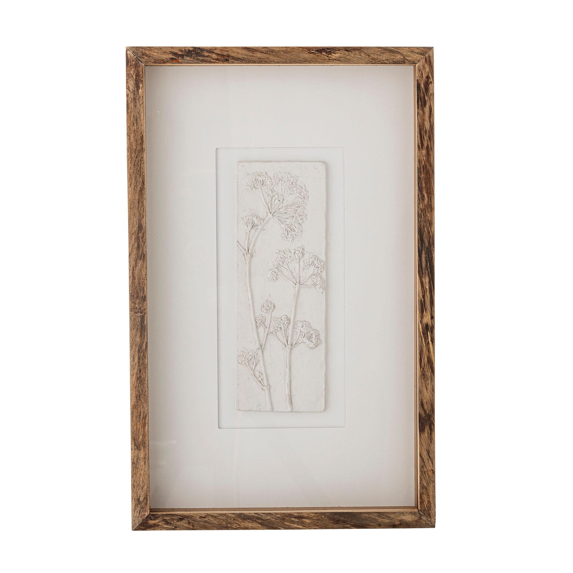 Creative Collection Mey Illustration med ramme, Natur, Fyrretræ