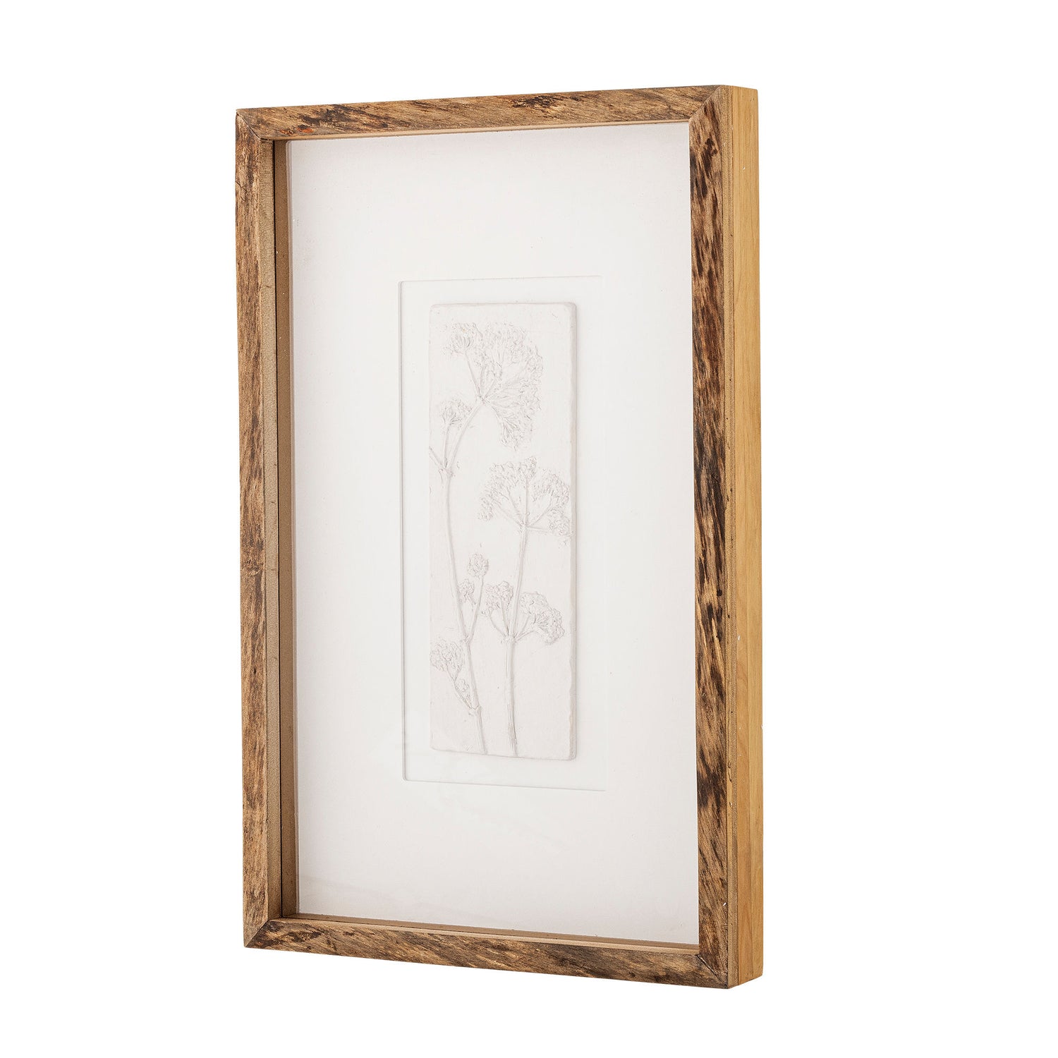 Creative Collection Mey Illustration med ramme, Natur, Fyrretræ