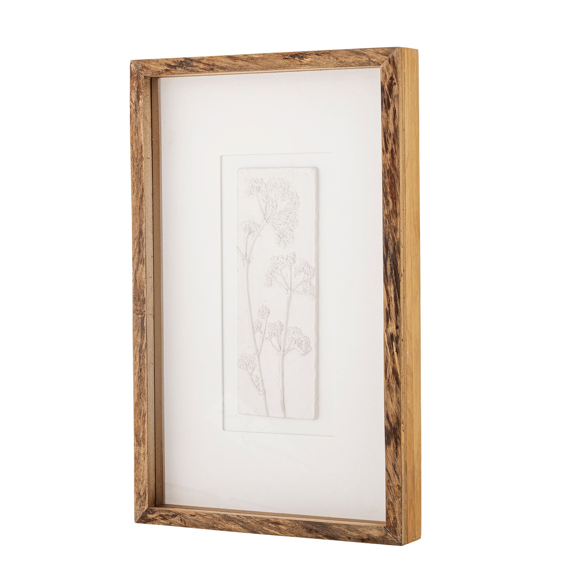 Creative Collection Mey Illustration med ramme, Natur, Fyrretræ