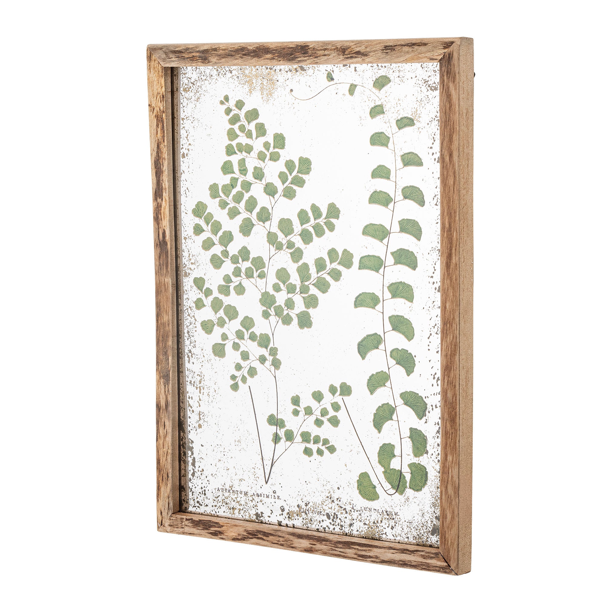 Creative Collection Tipper Illustration med ramme, Natur, Fyrretræ