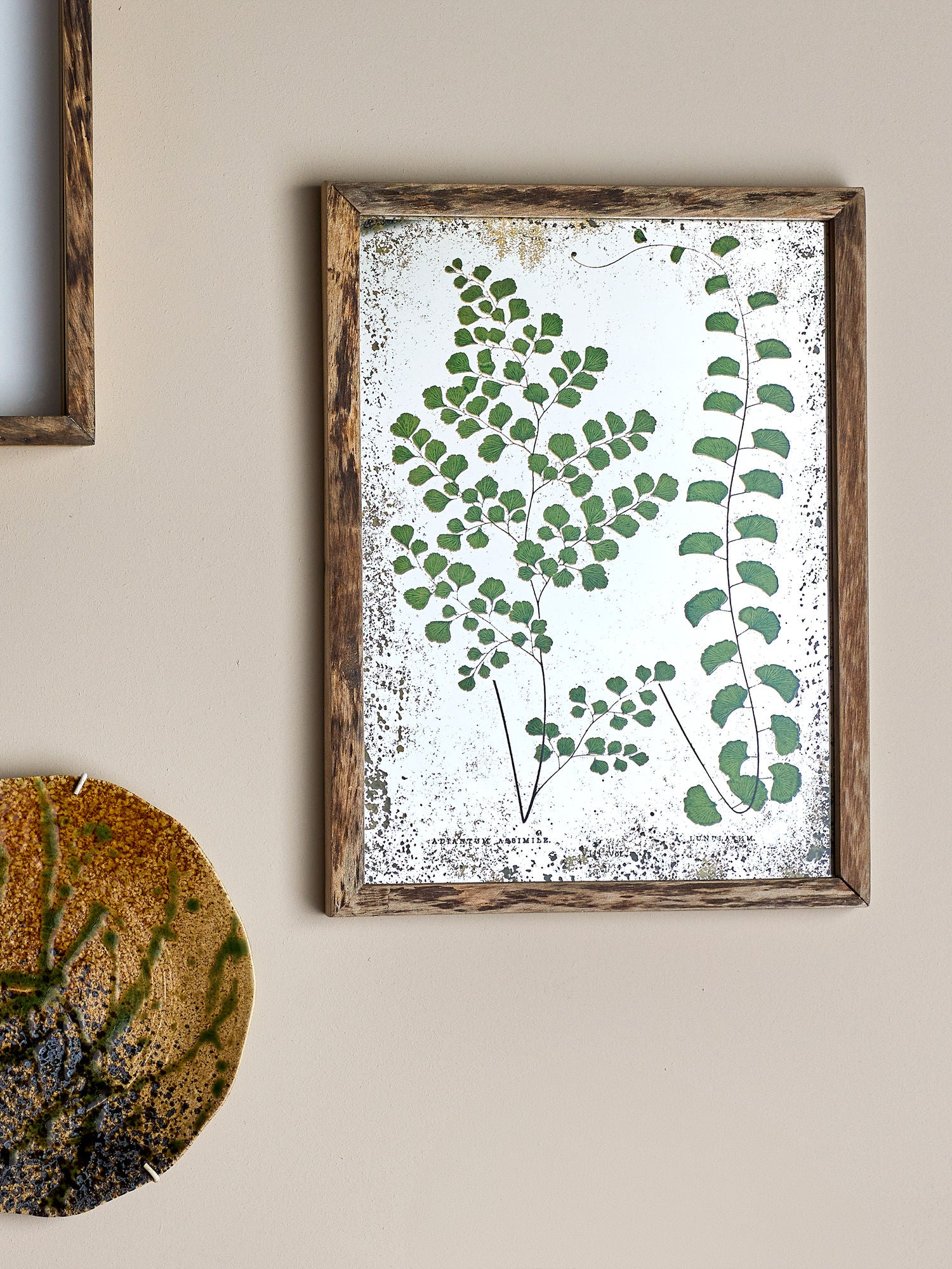 Creative Collection Tipper Illustration med ramme, Natur, Fyrretræ