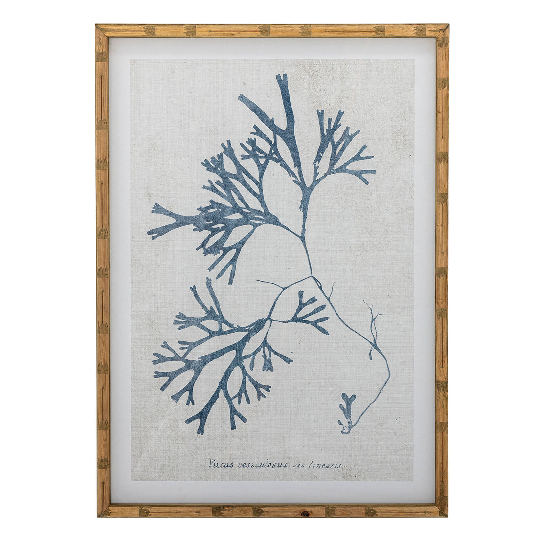 Creative Collection Sumner Illustration med ramme, Natur, Fyrretræ