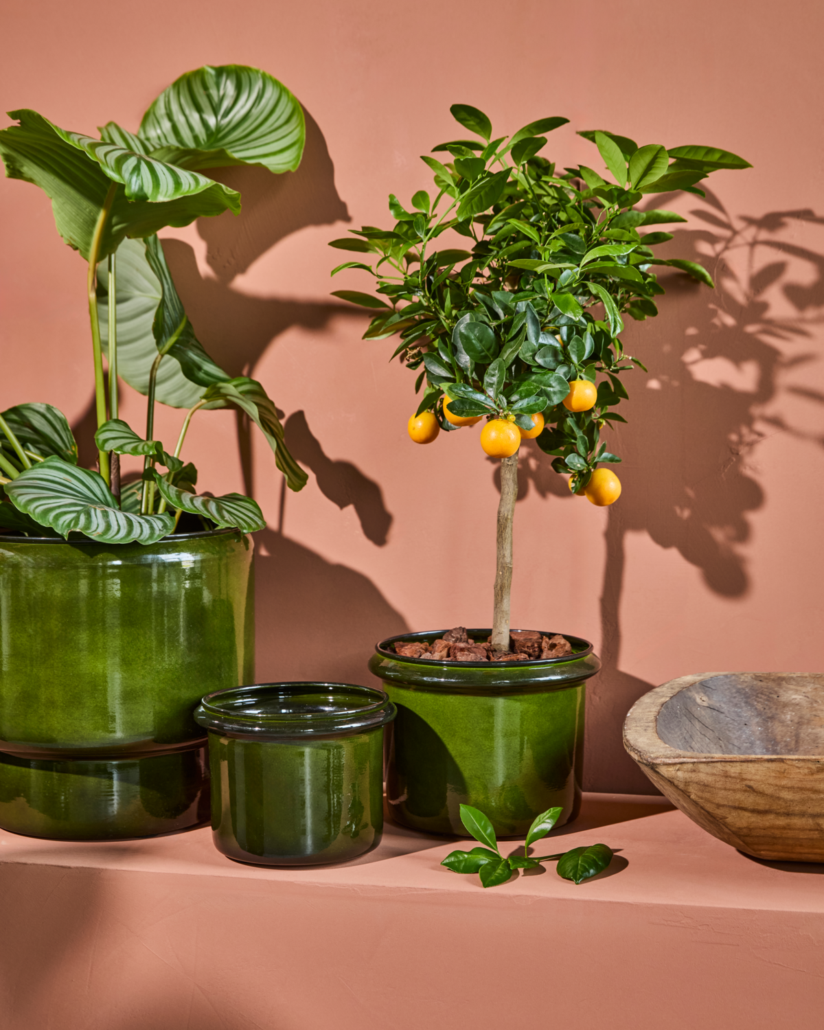 Urtepotte, HDHoop, Grøn