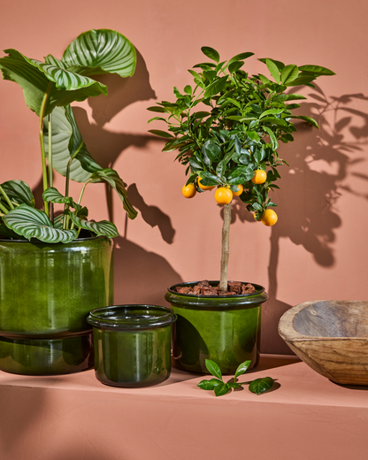 Urtepotte, HDHoop, Grøn