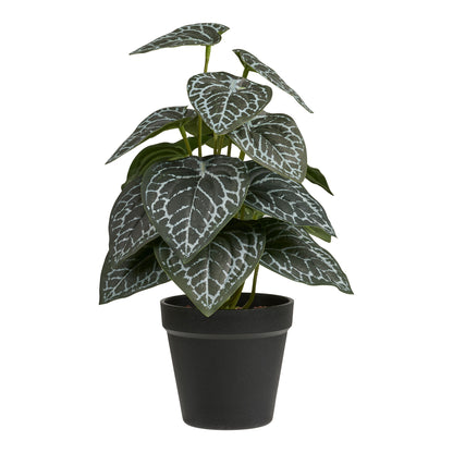 Kunstig Plante - Plante, grøn H:33 cm
