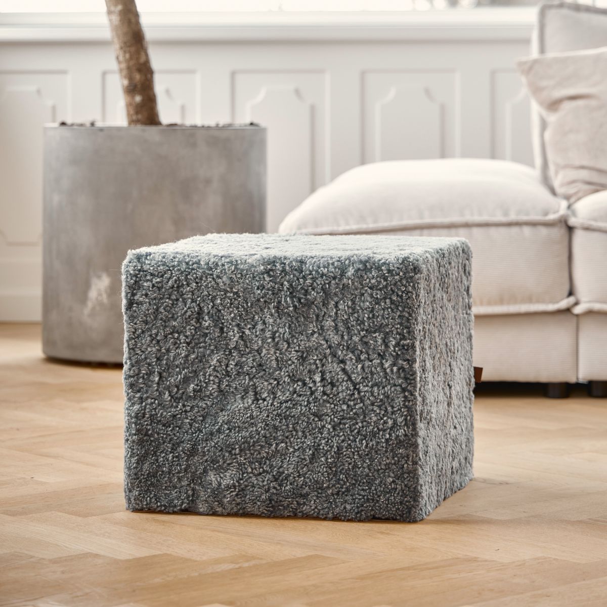 Puf | Korthåret | New Zealand