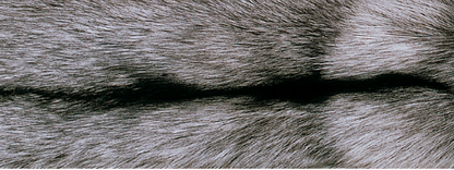 Tæppe af Ræv | Bagside af Kashmire |  70x230 cm