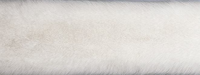 Tæppe af Ræv | Bagside af Kashmire |  70x230 cm