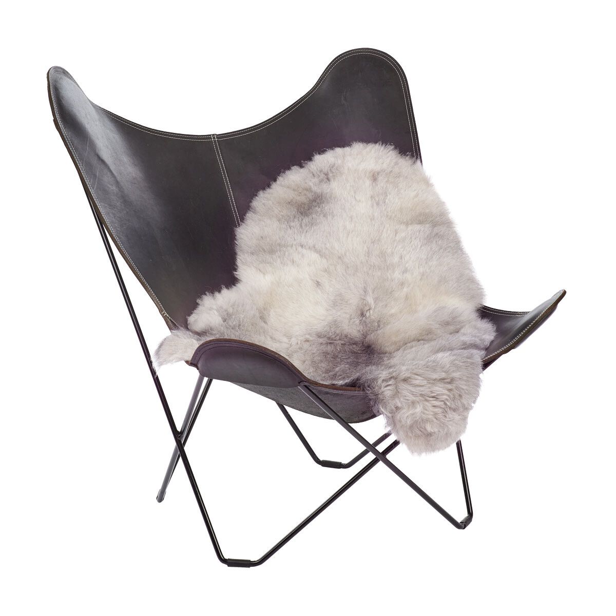 Lammeskind | Korthåret | Island | 120+x60 cm