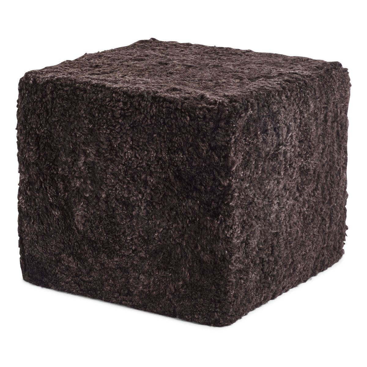 Puf | Korthåret | New Zealand