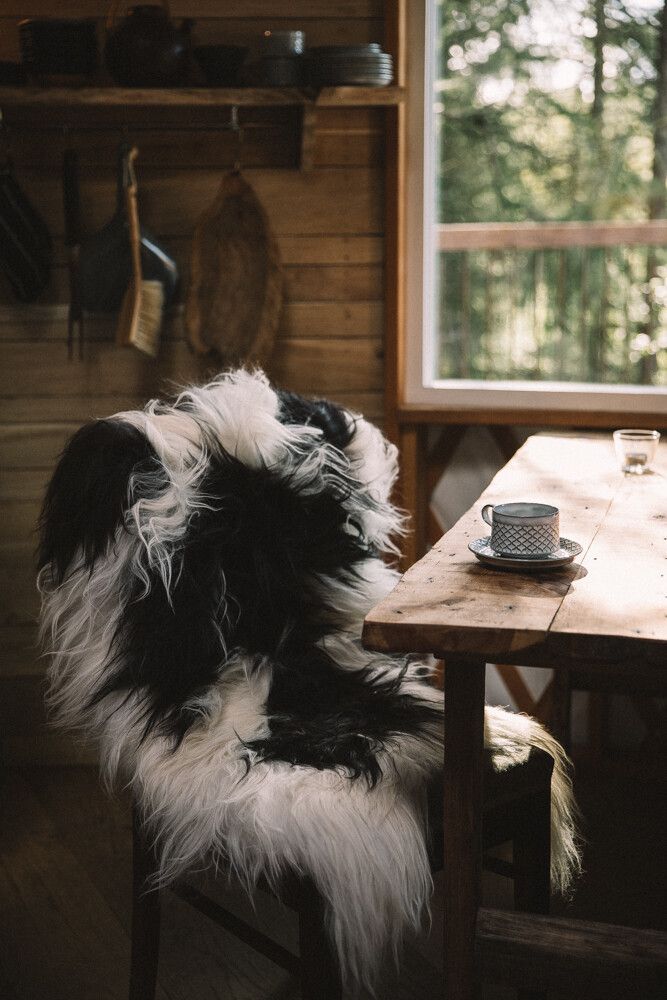 Langhåret Lammeskind 110 cm.