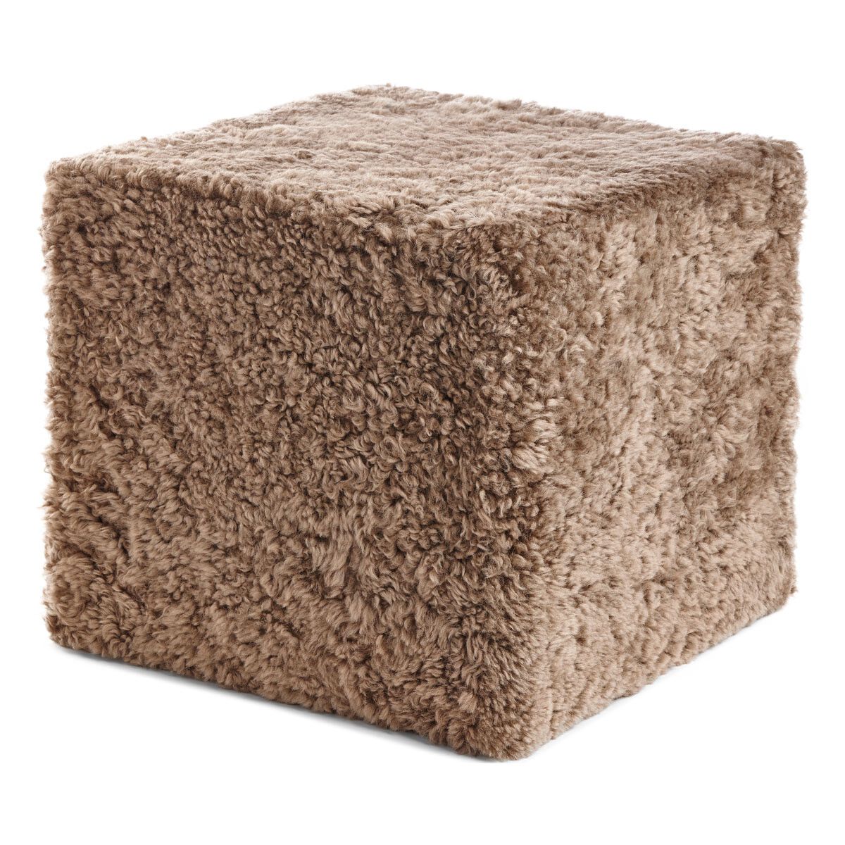 Puf | Korthåret | New Zealand