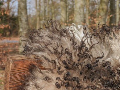 Lammeskind | Krøllet | Østrig | 90x60 cm