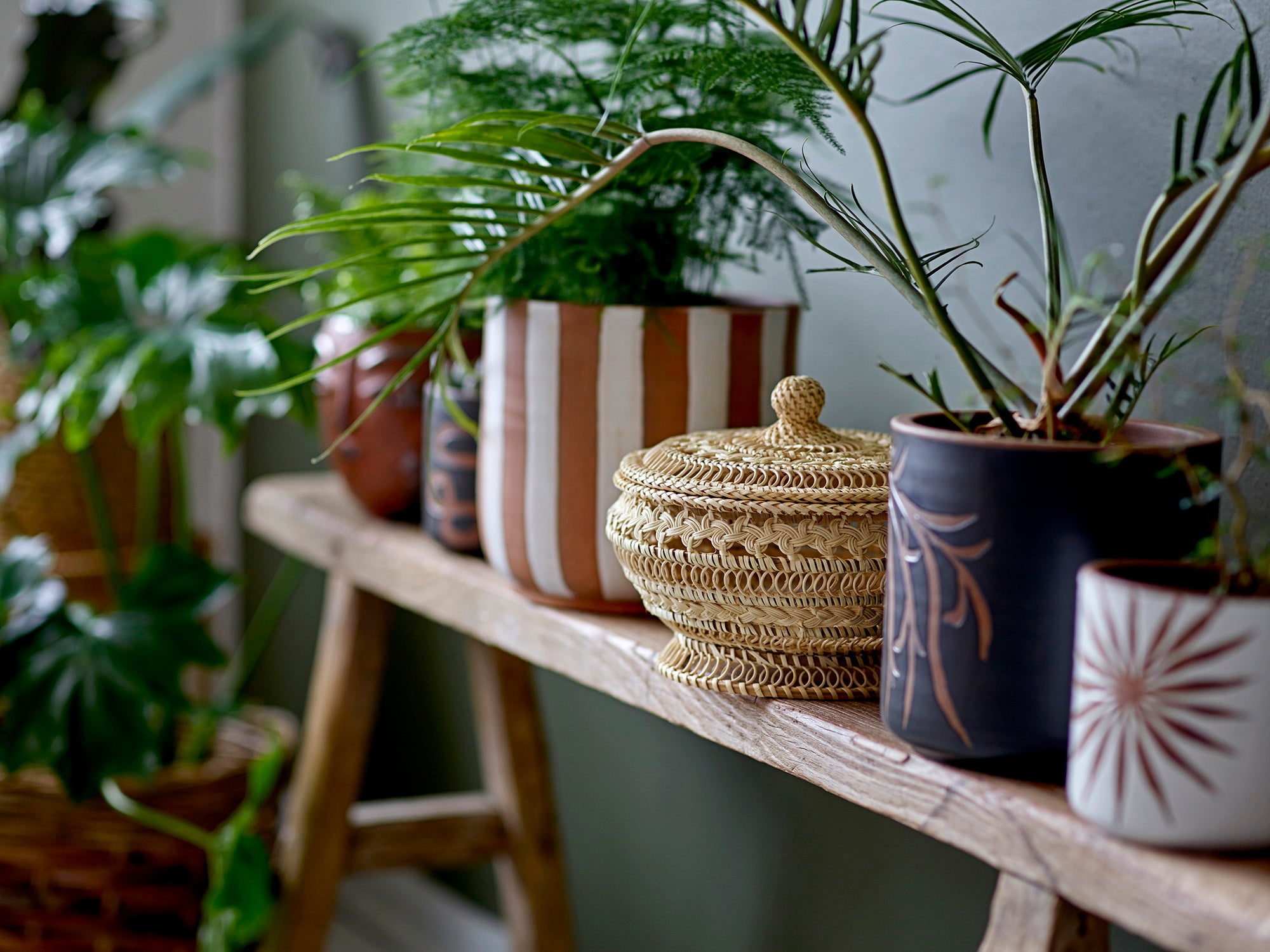 Abas Deko Urtepotte, Brun, Terrakotta - BLOOMINGVILLE - DesignGaragen.dk