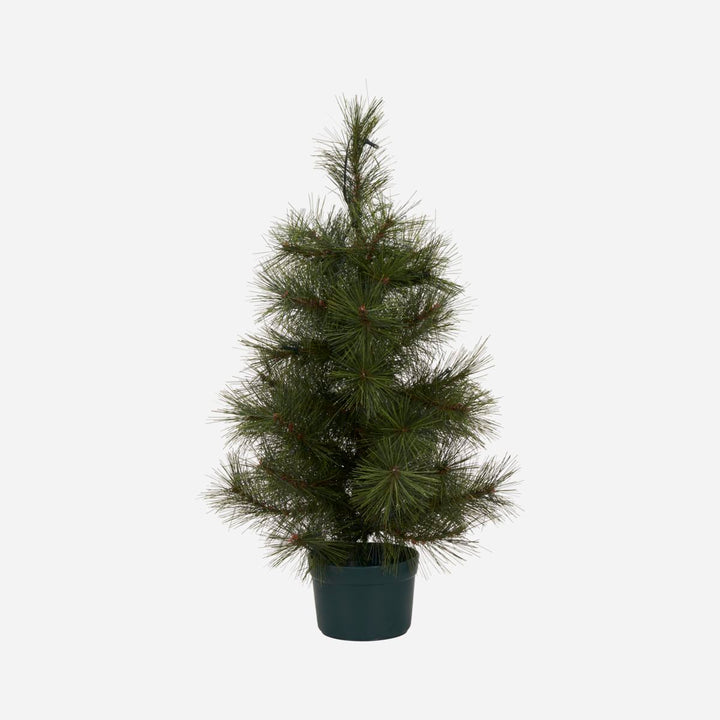 House Doctor-Juletræ, Pinus-h: 60 cm