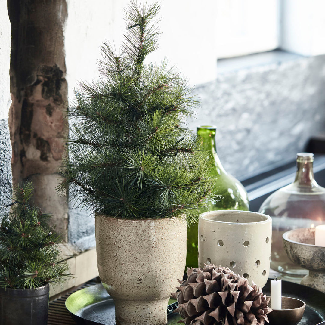 House Doctor-Juletræ, Pinus-h: 60 cm
