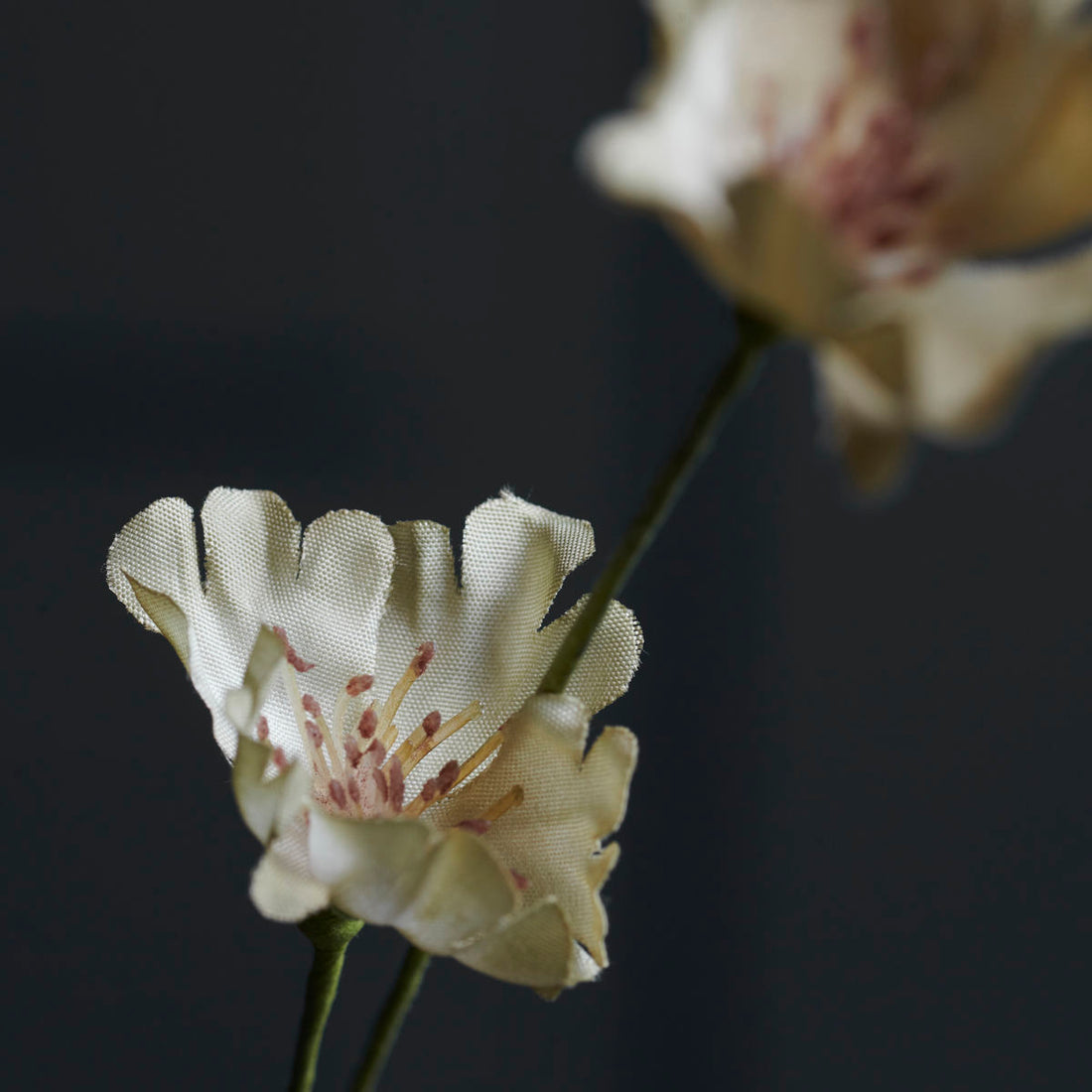 House Doctor - Blomst, Wild, Beige - l: 70 cm