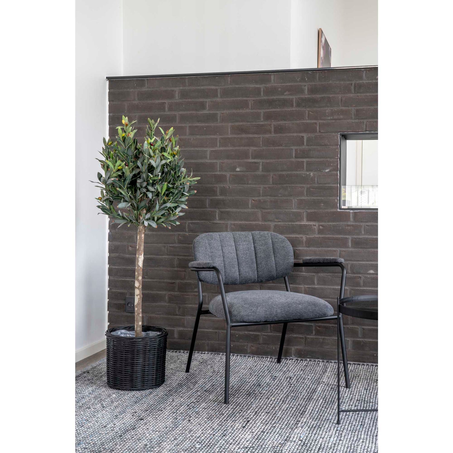 House Nordic - Oliventræ
