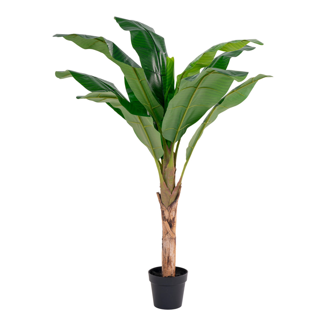 House Nordic - Banan Palme