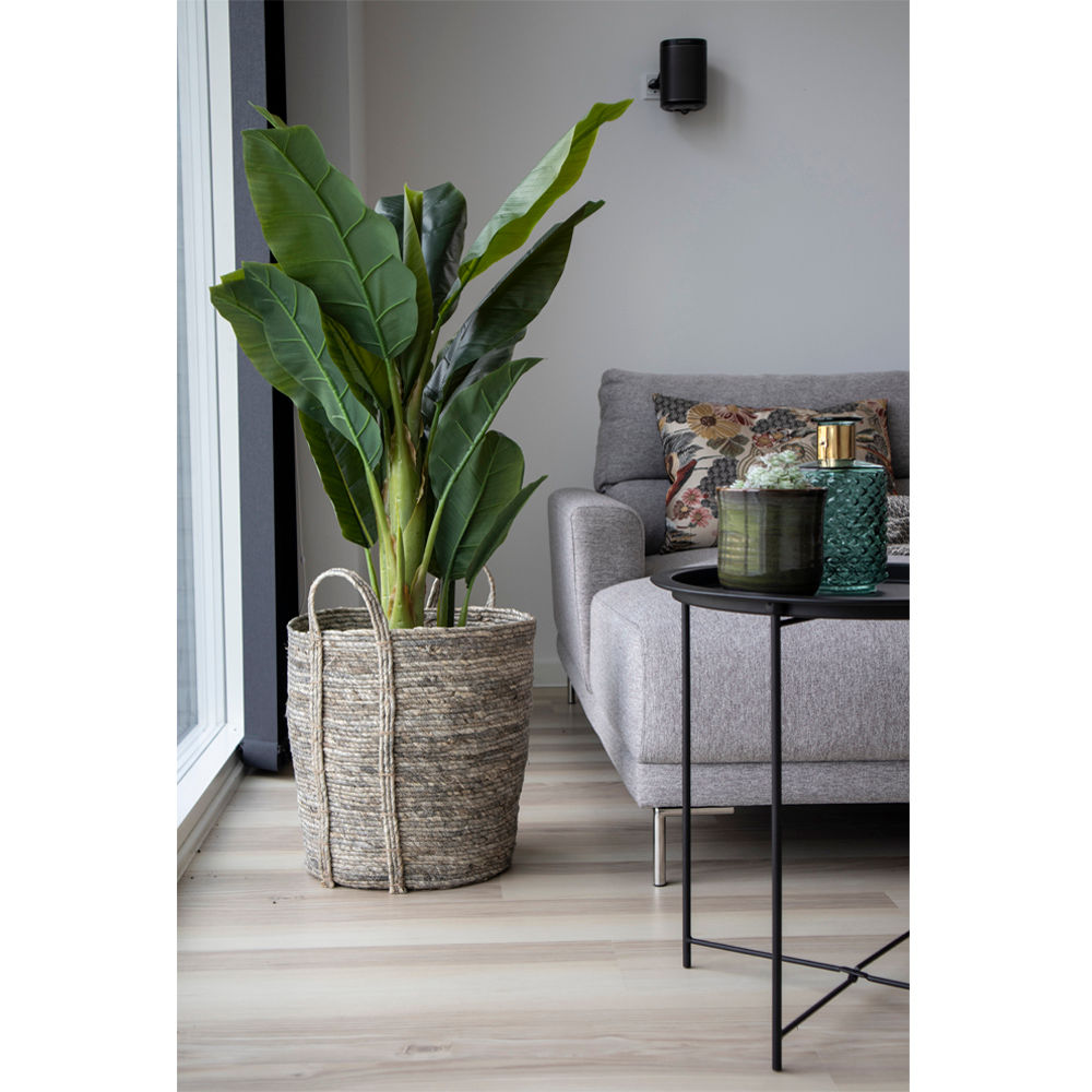 House Nordic - Banan Palme