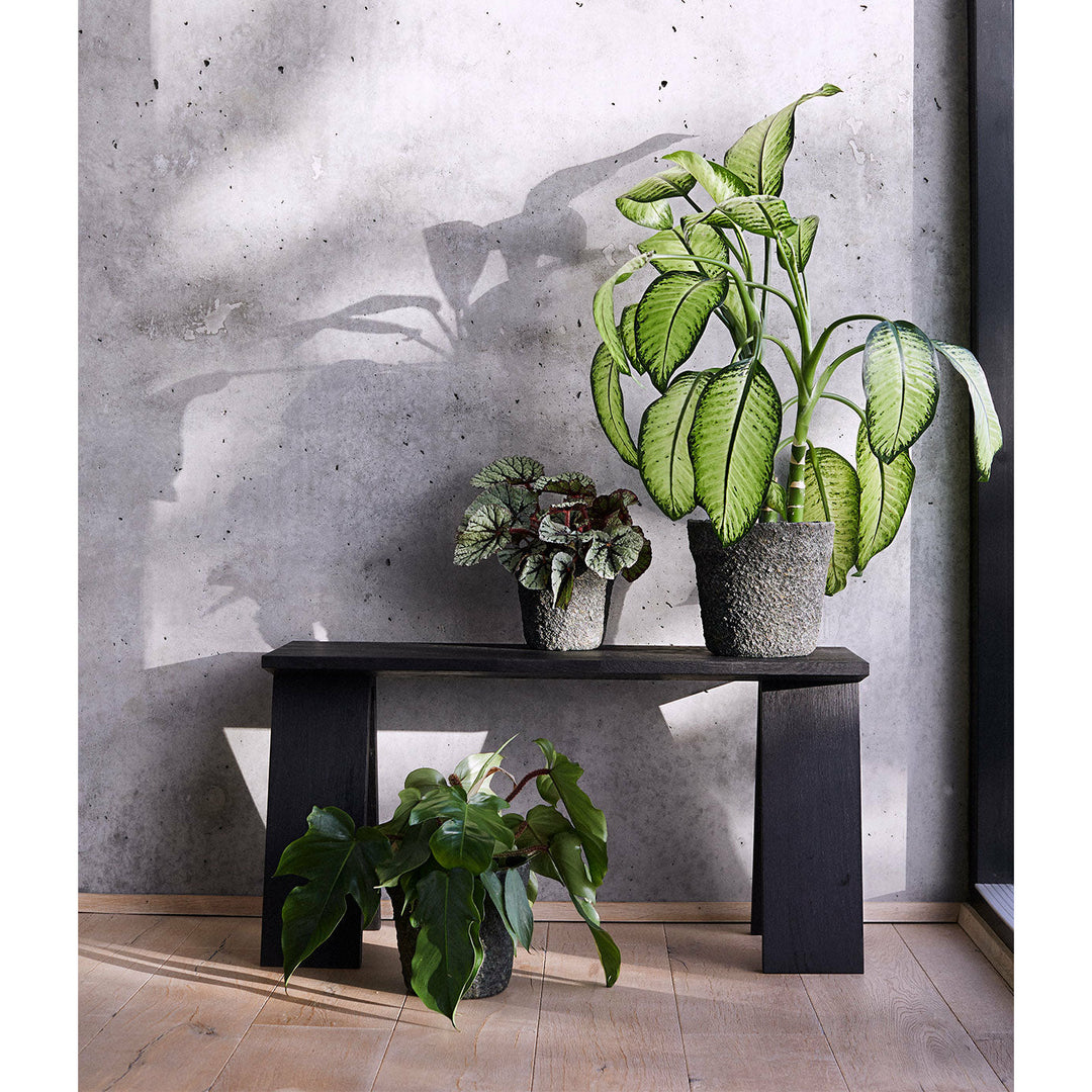 Muubs Bænk Angle, Eg Sort bejdset/olie - B: 90 H: 46 D: 35 cm - DesignGaragen.dk.