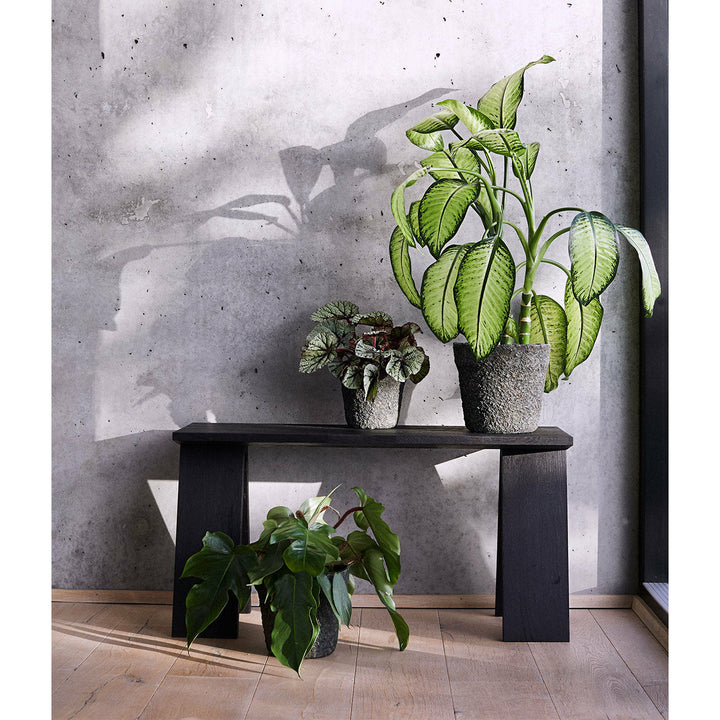 Muubs Bænk Angle, Eg Sort bejdset/olie - B: 90 H: 46 D: 35 cm - DesignGaragen.dk.