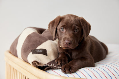 OYOY ZOO Kaya Hundetæppe - Stor