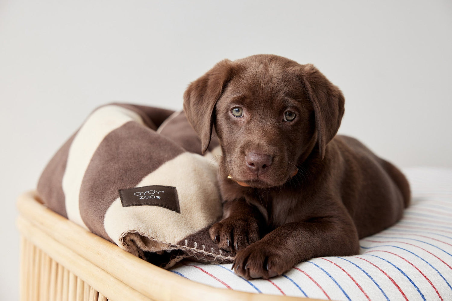 OYOY ZOO Kaya Hundetæppe - Medium