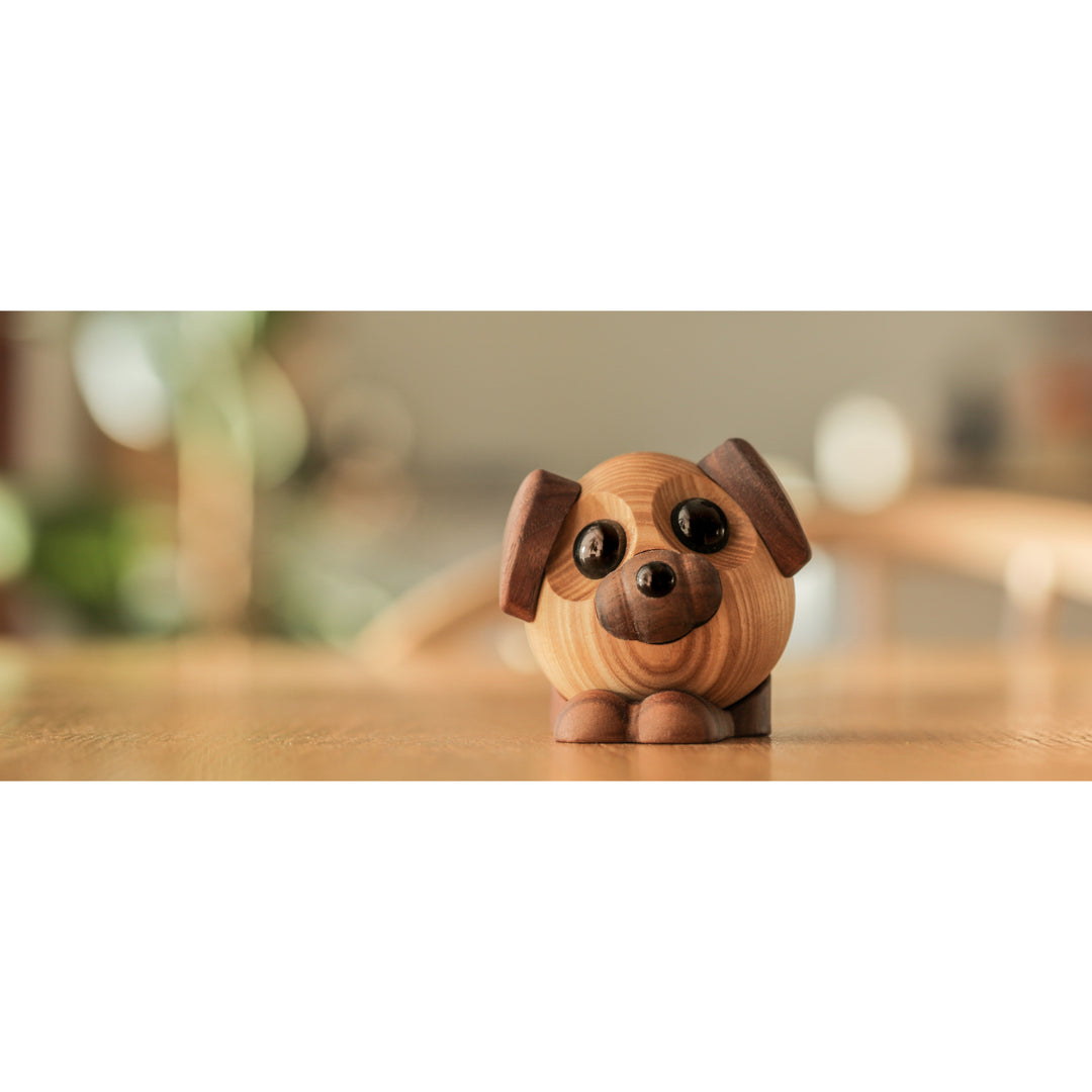 Buddy - den store hund