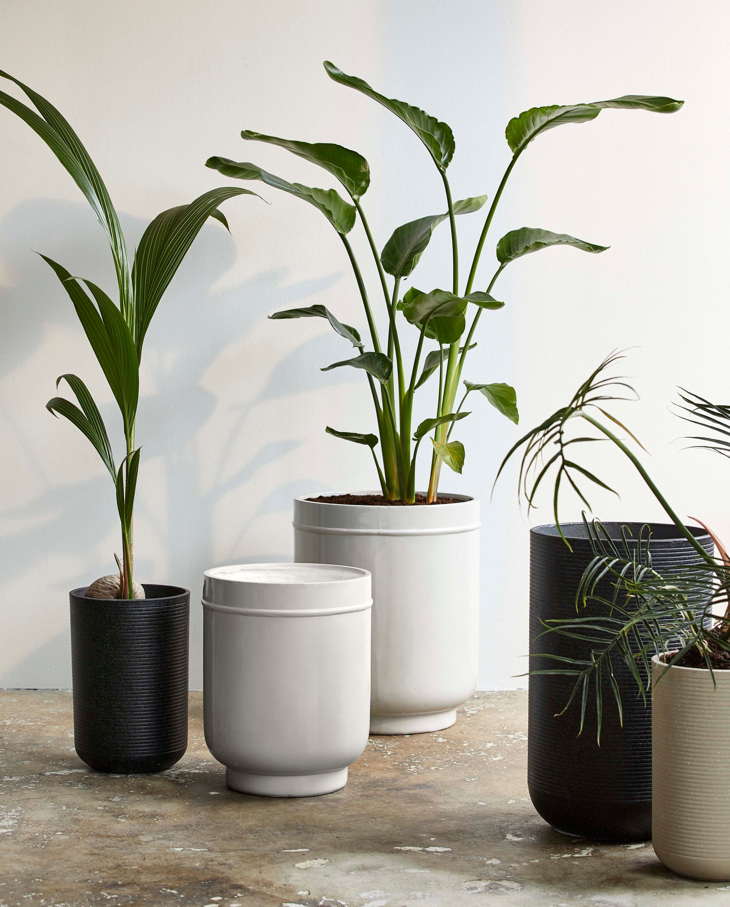EDAY urtepotter - 2 stk. - h56/46 cm - grå