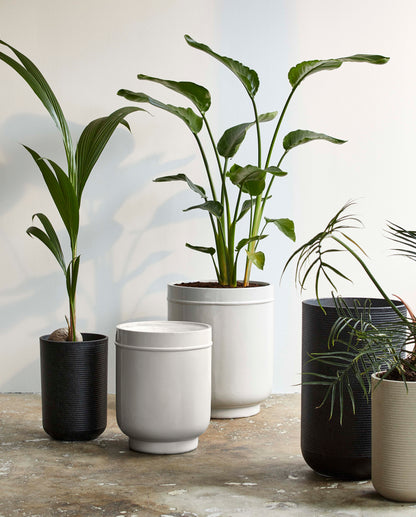 EDAY urtepotter - 2 stk. - h56/46 cm - grå