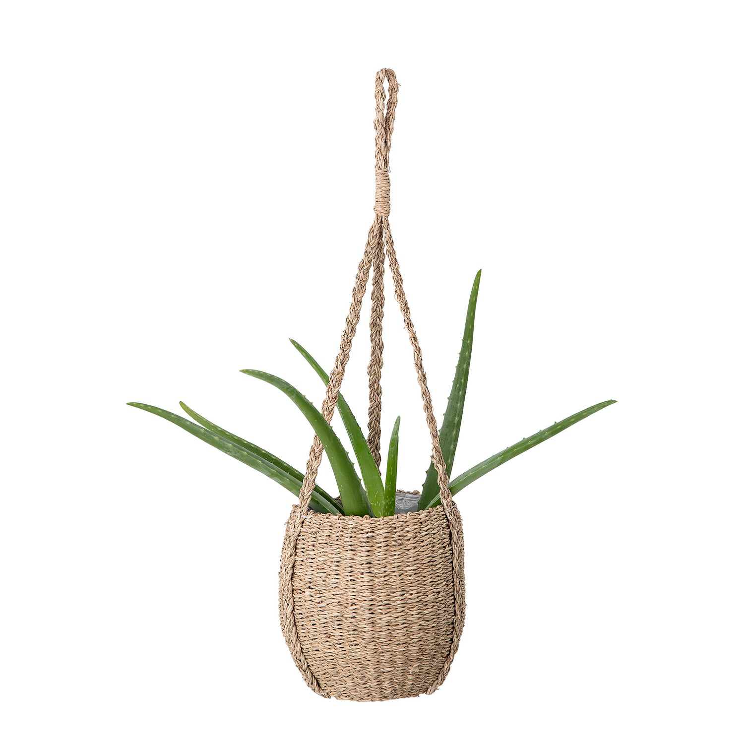 Rockie Urtepotteskjuler, Hængende, Natur, Søgræs - D20xH65 cm - BLOOMINGVILLE - DesignGaragen.dk