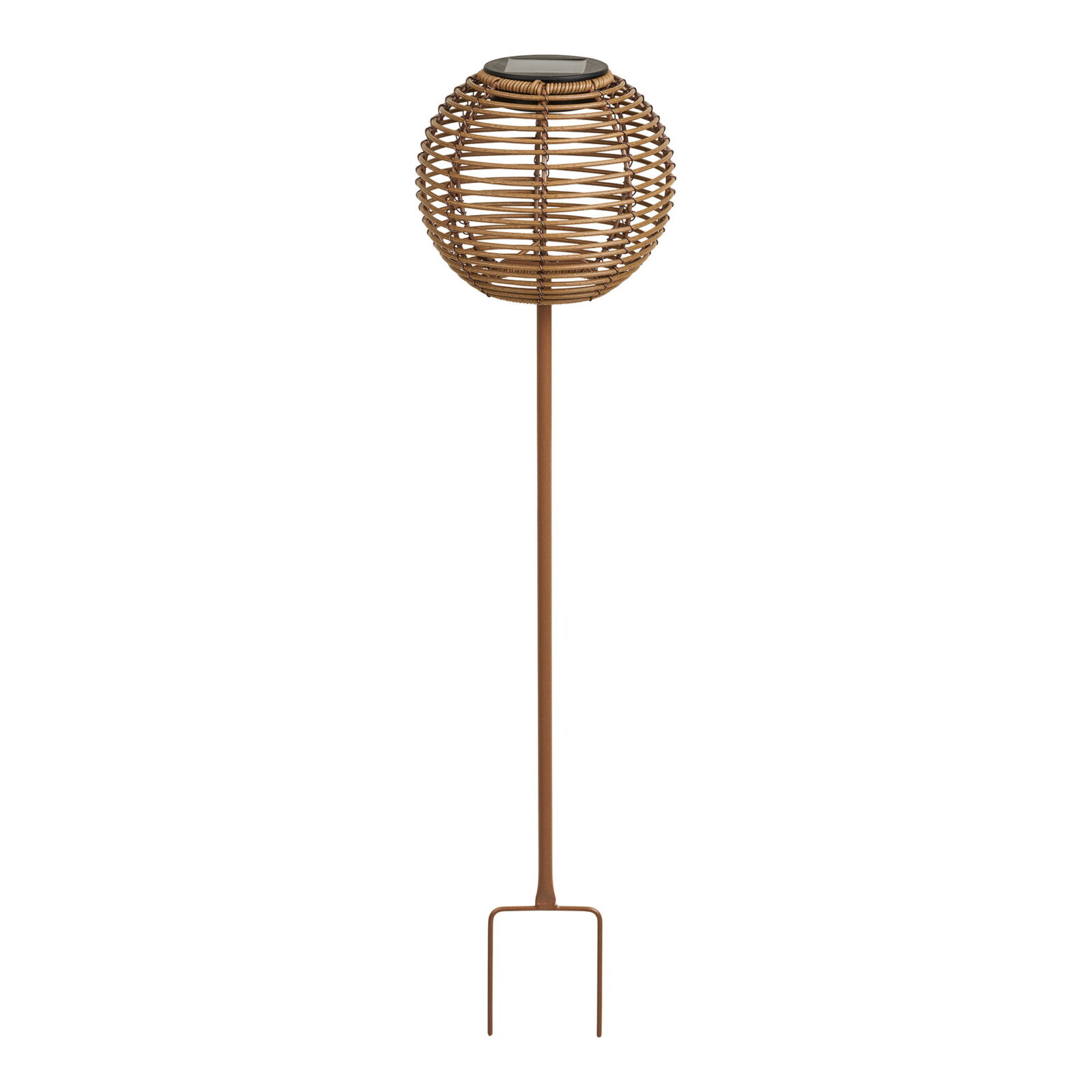 Carlisle Lampe