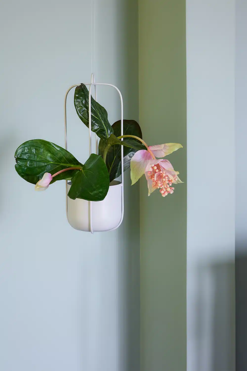 Lotus Hængepotte Lysegrå (sæt af 2)