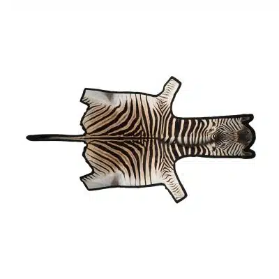 Zebraskinn | Premium kvalitet | Sør-Afrika | Filtbakside